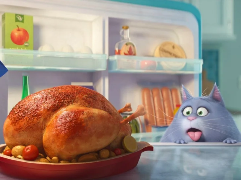 Кадр 1 из Тайная жизнь домашних животных  (2016)