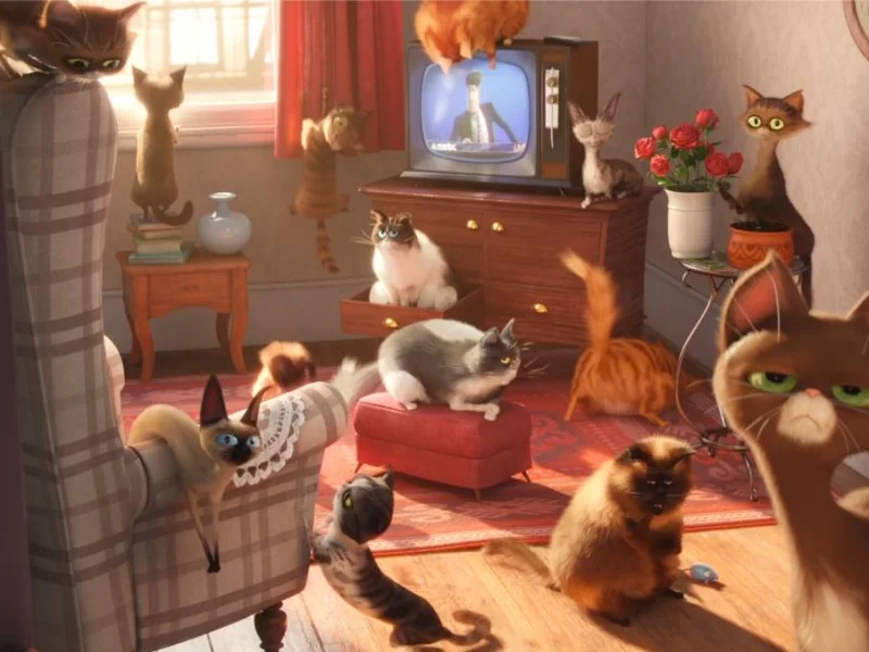 Кадр 2 из Тайная жизнь домашних животных  (2016)