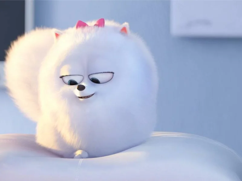 Кадр 3 из Тайная жизнь домашних животных  (2016)