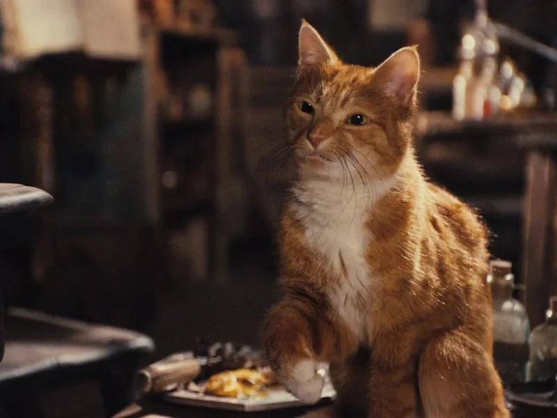 Кадр 3 из Смурфики  (2011)