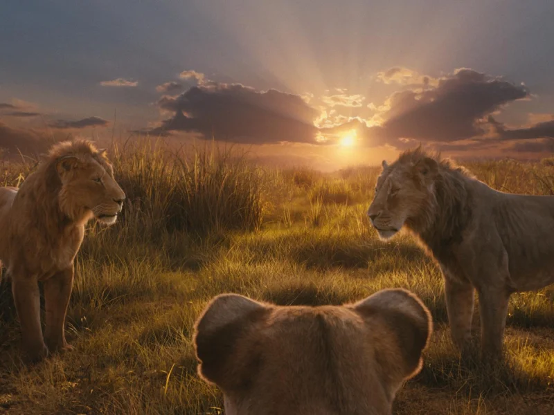 Кадр 1 из Муфаса: Король Лев  (2024)